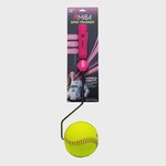 Softball Training Equipment