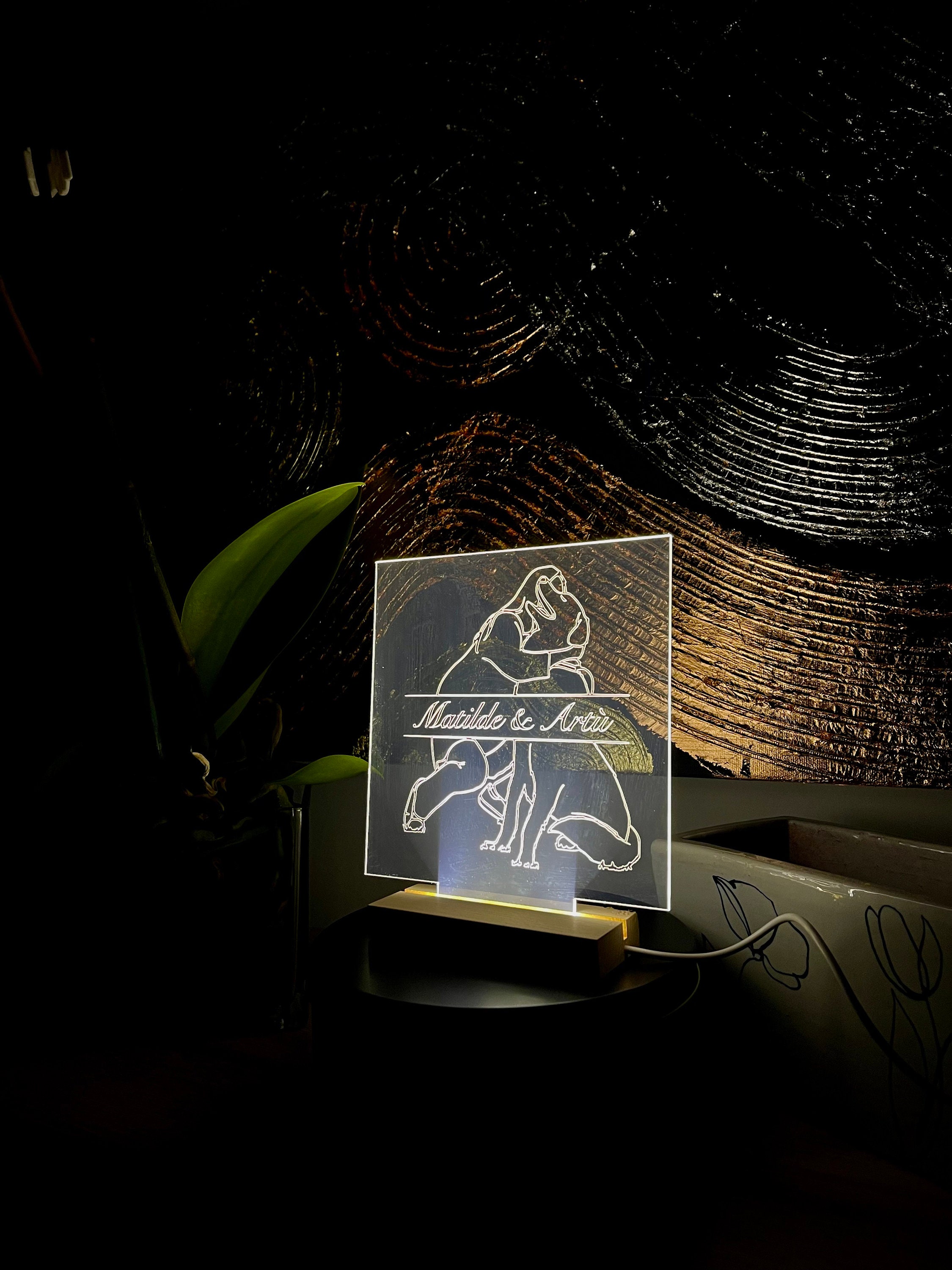 Lampada Personalizzata con Foto, LED Personalizzabile 3D Incisione Testo  con Base e USB Ricaricabile Acrilico Lampade Minimalista Linea di Disegno  San Valentino Natale Compleanno Migliori Regali : : Illuminazione