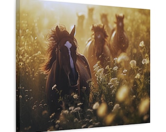 Wild Beauty Horses Canvas Matte Stretched 1.25"