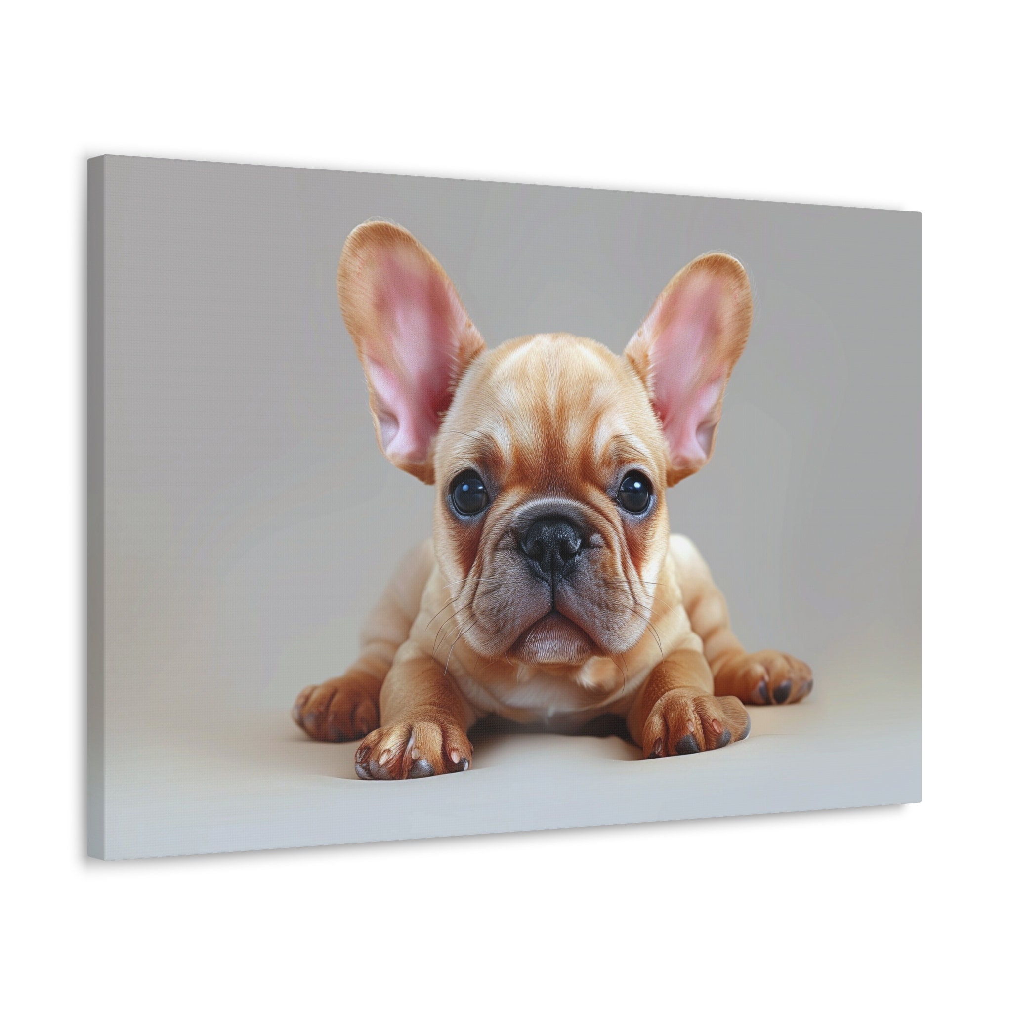 愛らしいフレンチブルドッグの子犬のキャンバスプリント - Etsy 日本, image size:2048x2048