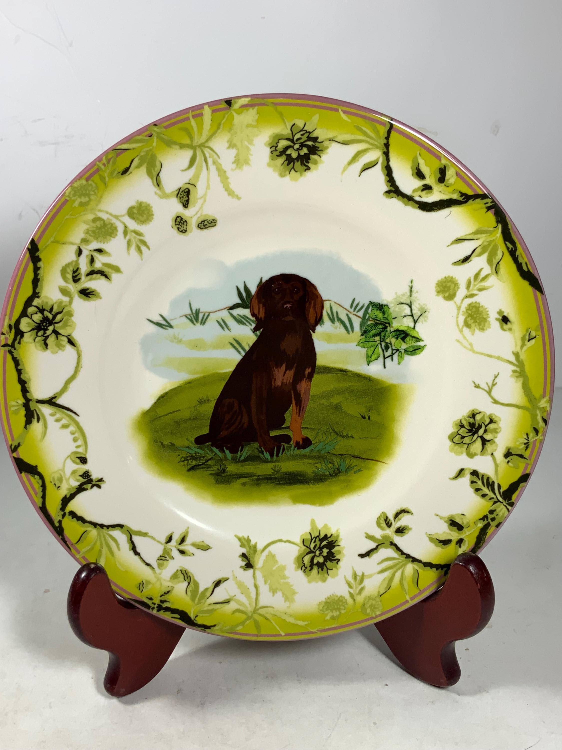 Pet a Portre (ペット ア ポルテ)Petit Gateau Pet a Portre (ペット ア ポルテ)Petit Gateau Pet a Portre (ペット