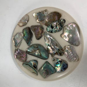 Wondermold Ind. USA Handgjord Abalone-snäcka i Lucite-underlägg 13,5 cm.