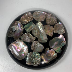 May include: A collection of iridescent abalone shells arranged on a glossy black, oval-shaped base. The shells display a range of colors, including pink, green, and silver, creating a visually appealing contrast against the dark background. The shells vary in size and shape.