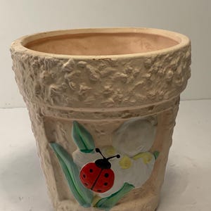 Puede incluir: Maceta de cerámica beige claro con exterior texturizado. La maceta presenta un diseño pintado de una flor blanca con hojas verdes y una mariquita roja. El interior de la maceta es de color melocotón claro.
