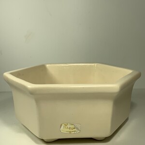May include: Cream-coloured, hexagonal ceramic planter with a slightly raised base. The planter has a smooth, matte finish and a simple, geometric design. A small label is affixed to the front. Suitable for succulents or small plants.