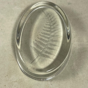 Peut inclure: Un presse-papier en verre transparent avec une feuille de fougère pressée à l'intérieur. Le presse-papier est de forme ovale et a une surface lisse et polie.