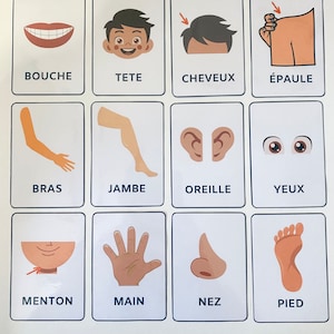 Les cartes partie du corps