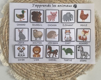 Support d’apprentissage Animaux