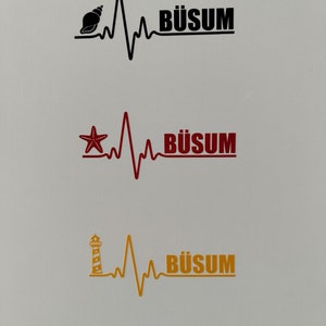 May include: Three variations of a heartbeat graphic with the word "BÜSUM" underneath. The first graphic features a black seashell, the second features a red starfish, and the third features a yellow lighthouse.