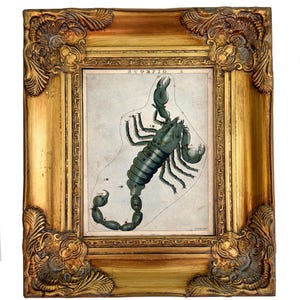 Scorpio Zodiac Sign framed/Gold ornate decor/Vintage Framed Art