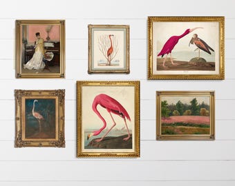 Pink Gallery Wall/Audubon Flamingos/Vintage Art Prints/Pink Fields/Victorian Portrait