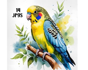 Parakeet Watercolor Clipart, Parakeet Bundle Clipart, Tropical Bird Art, Parakeet Lovers, jpg bundle, Digital Download, Parakeet Wall Art