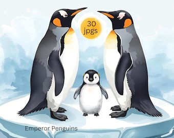 Clipart de pingüinos en acuarela, amantes de los pingüinos, clipart de ornitología, descarga digital, clipart de razas de pingüinos, proyectos de bricolaje, arte mural de pingüinos