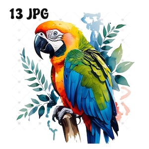 Watercolor Parrot Clipart Bundle: Tropical Bird Art, Commercial Use ,JPG Digital Download, Vibrant Parrot Watercolors, Bird Lovers, Wall Art