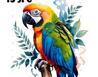 Paquete de imágenes prediseñadas de loros en acuarela: Arte de aves tropicales, uso comercial, descarga digital JPG, acuarelas vibrantes de loros, amantes de las aves, arte mural