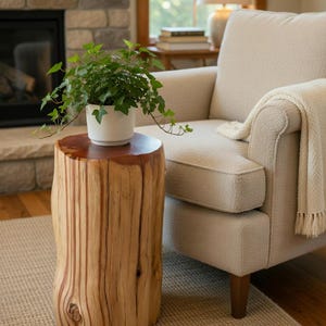 Puede incluir: Una pequeña mesa auxiliar de madera rústica con una parte superior de borde vivo. Una maceta de cerámica blanca con una planta verde encima. La mesa está al lado de un sillón beige con una manta color crema. La habitación tiene una chimenea y una ventana.