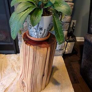 May include: A houseplant with large green leaves in a white pot with a black floral design, on a rustic wooden plant stand. The stand is made from a section of a tree trunk. The stand is approximately 40 cm tall.