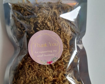 Moss For Small Animals -a different substrate for your small animal!-