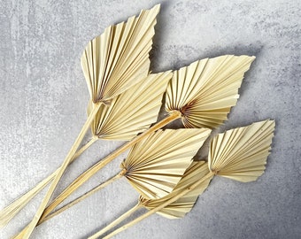 Bleached Dried Palm Spears, 6 Stems, Boho Wall and Tall Vase Decor