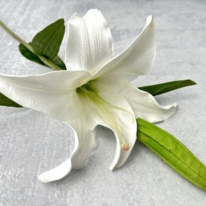 May include: A single white artificial lily with green leaves. The lily is lying on a white surface.