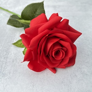 May include: A single red rose with green leaves. The rose is in full bloom and has a velvety texture.