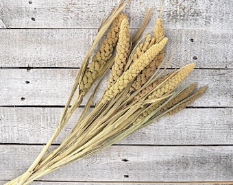 Dried Millet - Natural | Dried Filler for Arrangements and Vases