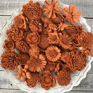 May include: A collection of burnt orange sola wood flowers in a white decorative bowl. The flowers are arranged in a variety of shapes and sizes, creating a beautiful and rustic display.