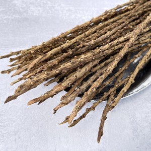 May include: A bunch of brown sticks with small bumps on them. The sticks are arranged in a fan shape and are lying on a silver tray.