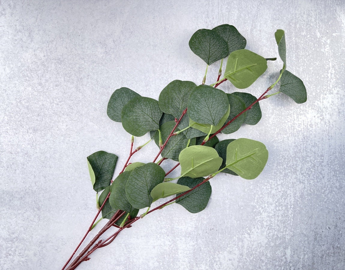 Faux Silver Dollar Eucalyptus Stem