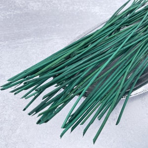 May include: A bunch of green floral stems, arranged in a silver tray. The stems are long and thin, and they are all bundled together.
