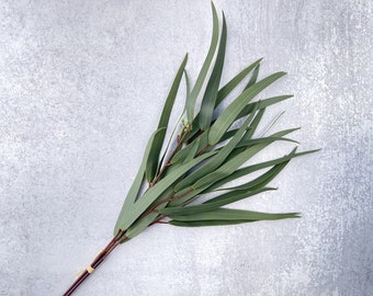 Real Touch Weeping Willow Eucalyptus, 3 Stems - Artificial Greenery - Dark Green