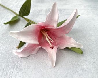 May include: A close-up of a pink and white lily flower with a green stem and leaves. The flower has six petals, with a gradient of pink at the center and white at the edges. The stamens are visible, and the flower is set against a light gray background.