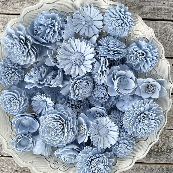 Pale Blue Dyed Sola Flowers - Pack of 12