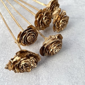 May include: A bouquet of six gold-painted pine cone roses. The roses are arranged in a fan shape and have a rustic, natural look.