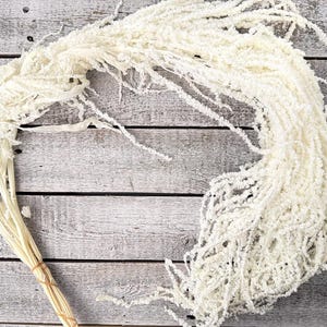 May include: A bundle of dried, cream-colored amaranthus, tied with a natural twine. The feathery, textured flowers cascade in a curved shape against a weathered, gray wooden background. This decorative floral element adds a touch of rustic elegance.