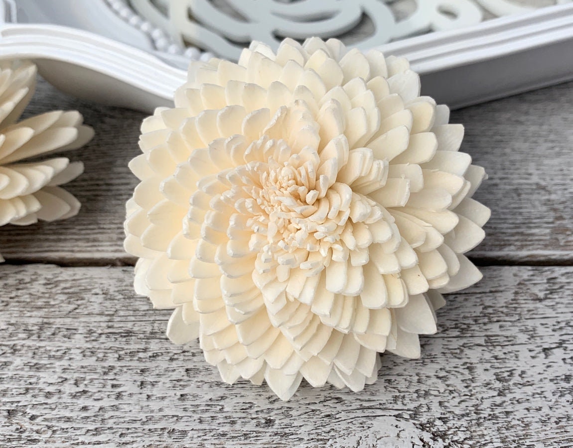 Zinnia Sola Wood Flowers, 12 Ivory Ruffled Zinnias for Boho