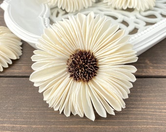 May include: A large, white, sola wood flower with a brown center. The flower is made of many thin, layered petals.