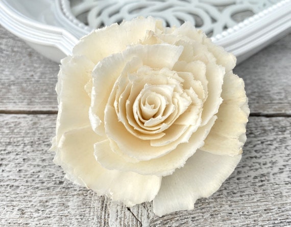 Helena Sola Wood Flowers, 12 Ivory Jagged-petal Statement Blooms