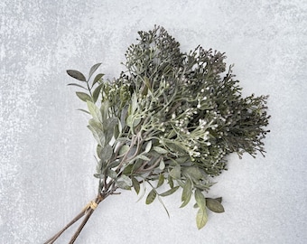 Seed Bundle Stems