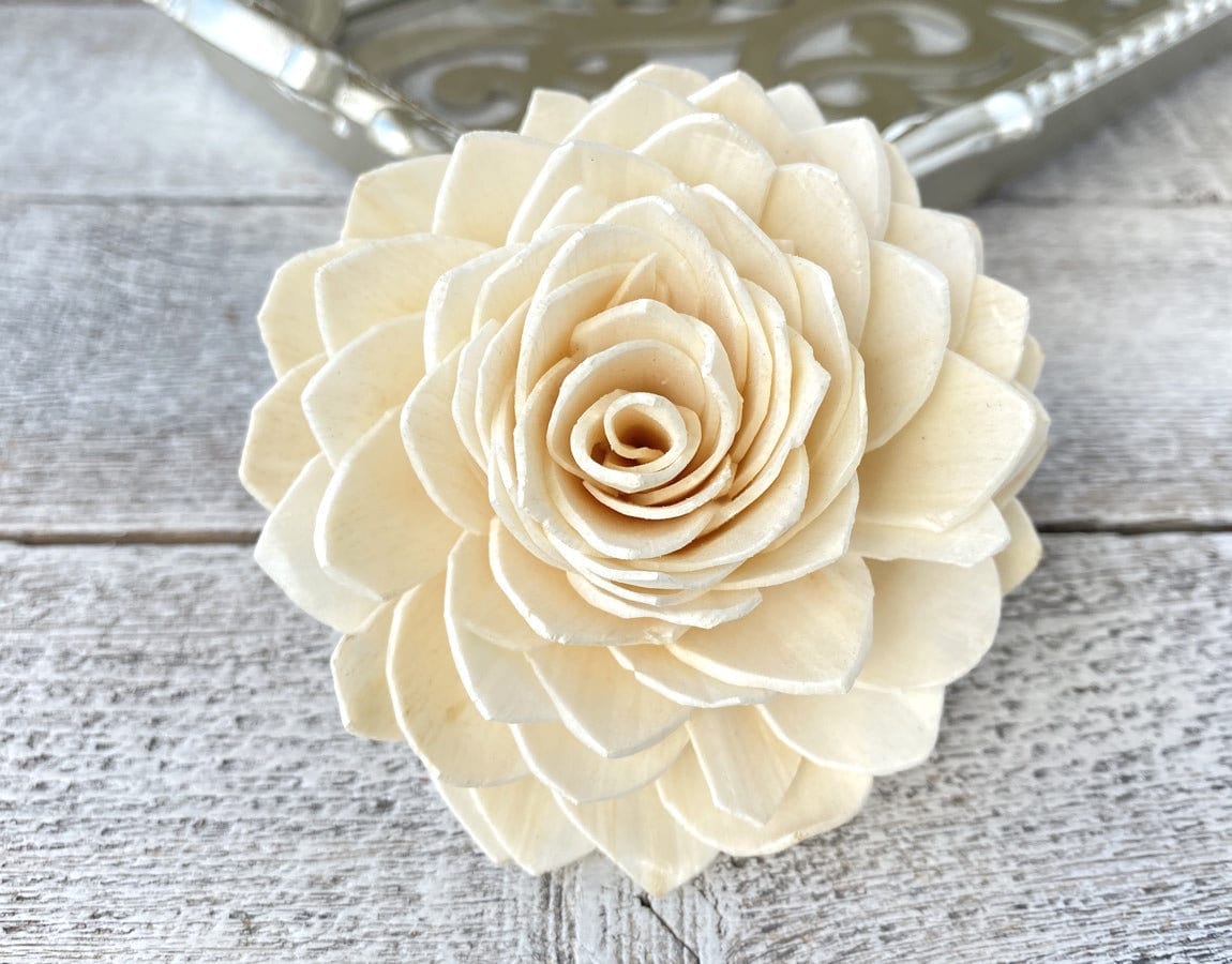 White Water Sola Wood Flowers, 12 Ivory Structured Blooms for