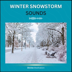 Storm Blizzards Nature Sounds Audio Relaxation Therapy, Stress Relief and Better Sleep