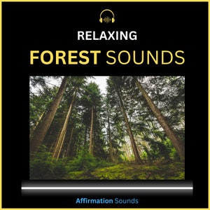 Forest Sounds Audio - Relaxing Deep Forest Sound Effect for Sleeping - Nature Meditation - (6 Hours) - Audio Download