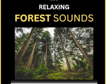 Waldklänge Audio - Entspannender Tiefwald Klangeffekt zum Schlafen - Natur Meditation - (6 Stunden) - Audio Download