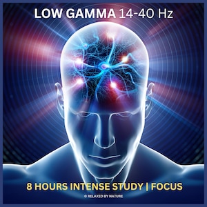 May include: Digital illustration of a human head with a glowing brain and neural network. The text "LOW GAMMA 14-40 Hz" and "8 HOURS INTENSE STUDY | FOCUS" are displayed. The image has a blue and white color scheme.