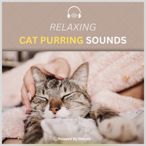 May include: A tabby cat with its eyes closed is being stroked by a hand. The cat is lying on a pink blanket. The text "Relaxing Cat Purring Sounds" is at the top of the image.