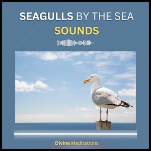Seagulls at the Sea Nature Sounds for Relaxation, Sleep and Calmness - Mindfulness Audio Gull Noises