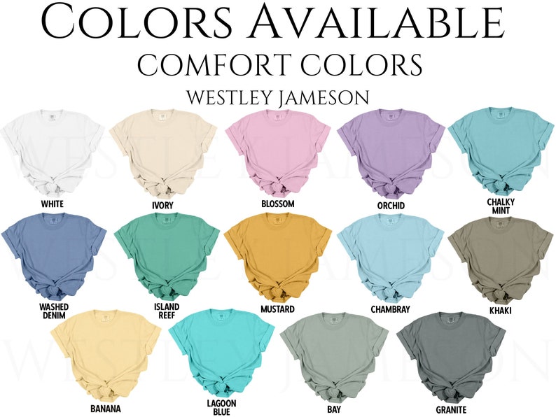 Hang in There It Gets Worse Shirt, Vintage Sarcastic Tshirt, Funny