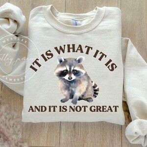 It Is What It Is And It Is Not Great Sweatshirt, Meme Raccoon Sweatshirt, Vintage Raccoon Sweatshirt, Funny Sweatshirt, Mental Health Shirt