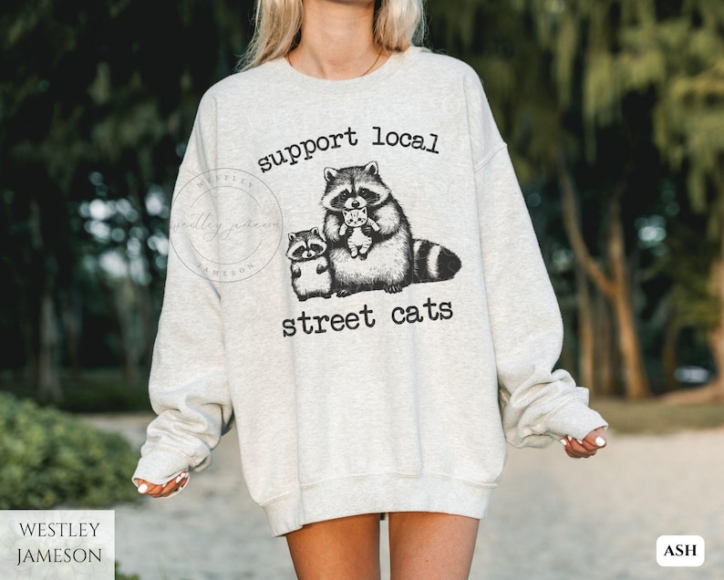 Funny Raccoon Street Cat Meme Sweatshirt, Comfy Gift for Raccoon Lover