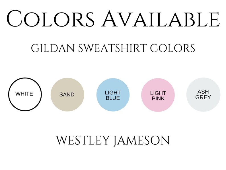 Funny Raccoon Street Cat Meme Sweatshirt, Comfy Gift for Raccoon Lover